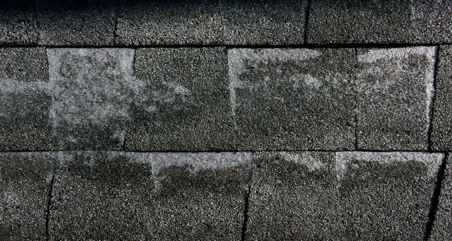 Storm-damaged asphalt shingles showing early failure — lifted tabs, exposed nailing zone